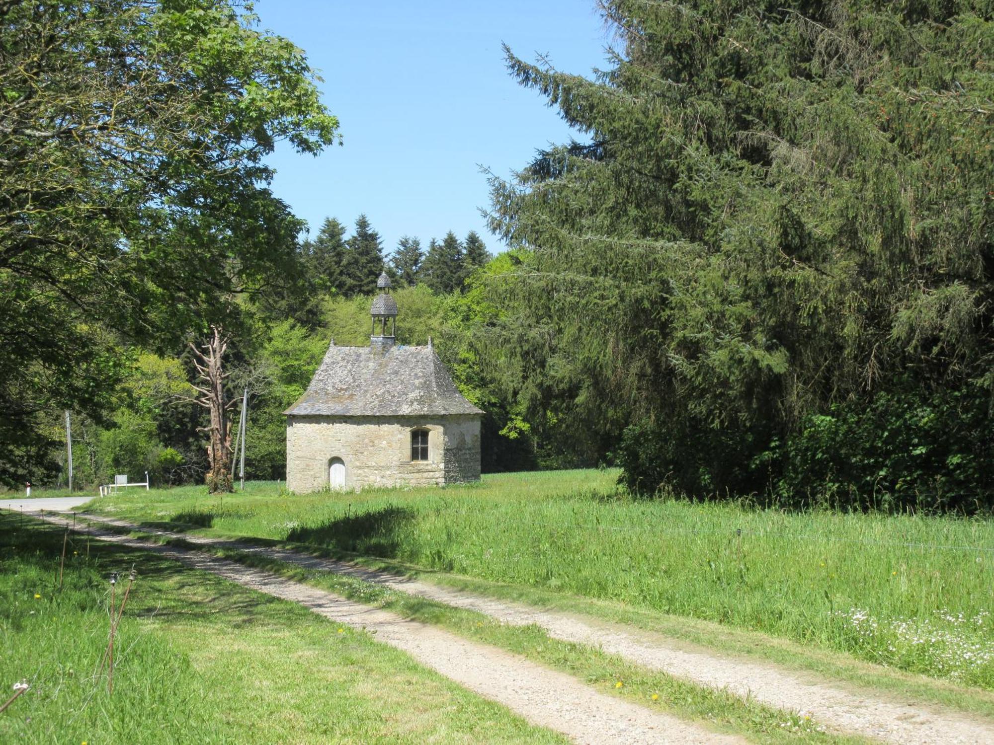 Chateau De Craon Bed and Breakfast Comblessac Exterior foto